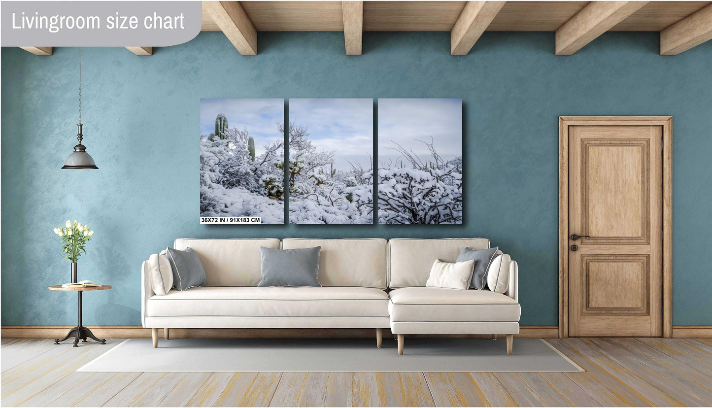 Desert’s Quiet Winter Beauty: Saguaro National Park Tucson Arizona Print Wall Art Photography Aluminum/Acrylic/Metal/Canvas