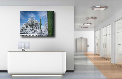 Dreaming of a White Desert Christmas: Saguaro National Park in Snow Tucson Arizona Print Wall Art Photography Aluminum/Acrylic/Metal/Canvas