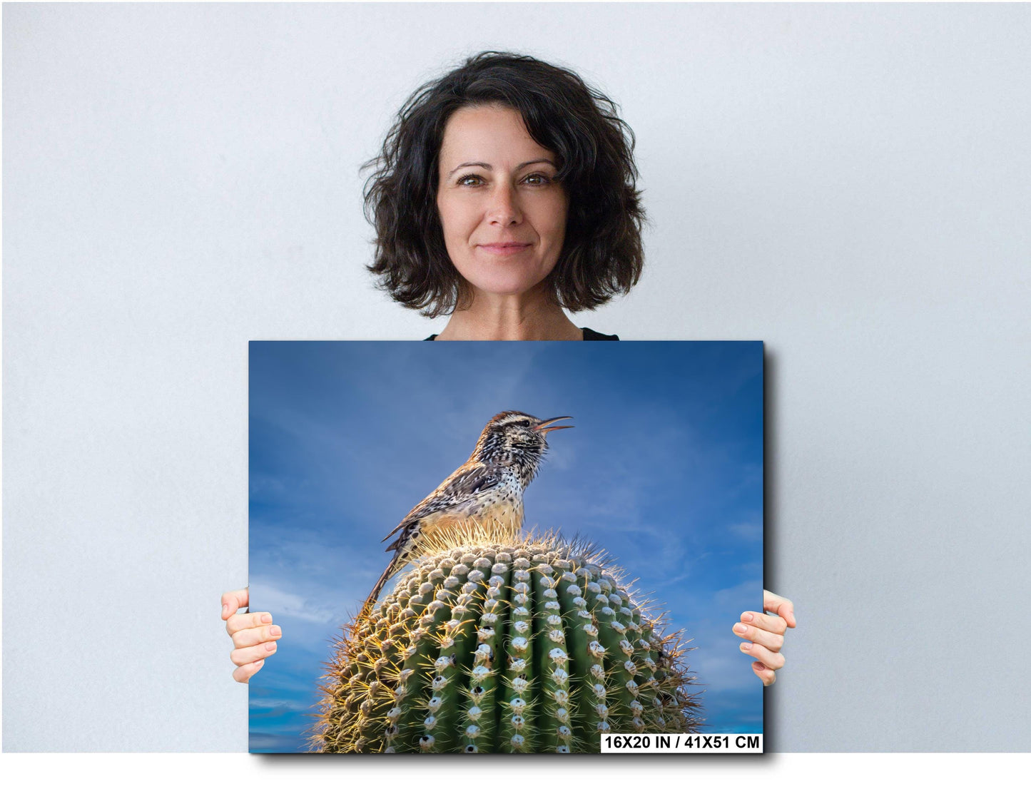 Cactus Wren on Saguaro Tucson Arizona Wildlife Nature Wall Art Photography Print, Sonoran Desert Bird Canvas Photo Blue Sky  Metal Decor