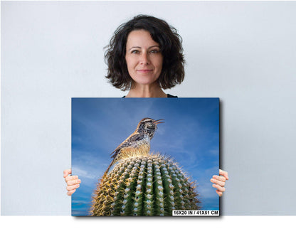 Cactus Wren on Saguaro Tucson Arizona Wildlife Nature Wall Art Photography Print, Sonoran Desert Bird Canvas Photo Blue Sky  Metal Decor