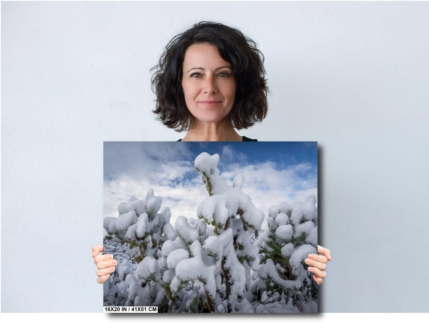 Snow Smothered Cactus Close-Up: Saguaro National Park Tucson Arizona Print Wall Art Photography Aluminum/Acrylic/Metal/Canvas