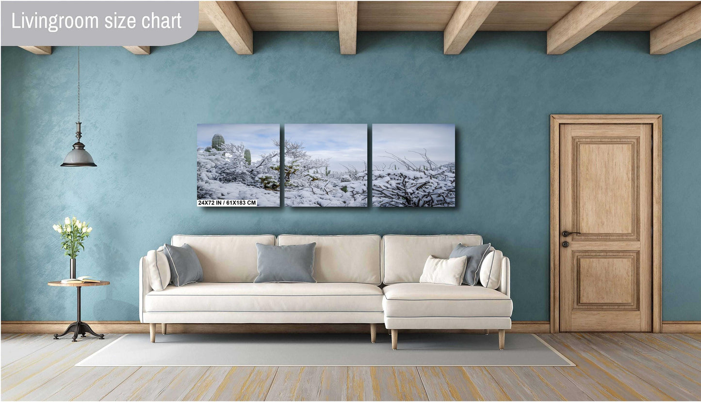 Desert’s Quiet Winter Beauty: Saguaro National Park Tucson Arizona Print Wall Art Photography Aluminum/Acrylic/Metal/Canvas