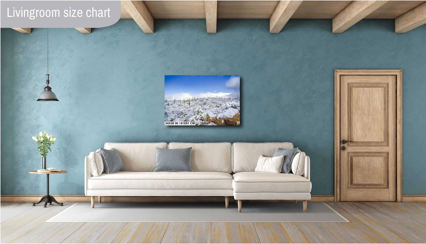 Desert Frost: Winter at Saguaro National Park Tucson Arizona Print Wall Art Winter Snow Photography Aluminum/Acrylic/Metal/Canvas Home Decor