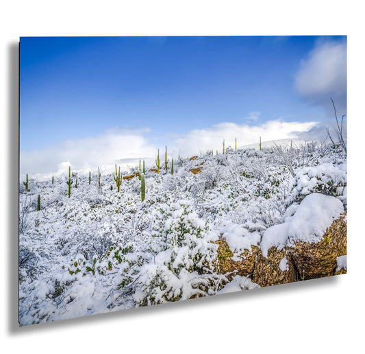 Desert Frost: Winter at Saguaro National Park Tucson Arizona Print Wall Art Winter Snow Photography Aluminum/Acrylic/Metal/Canvas Home Decor