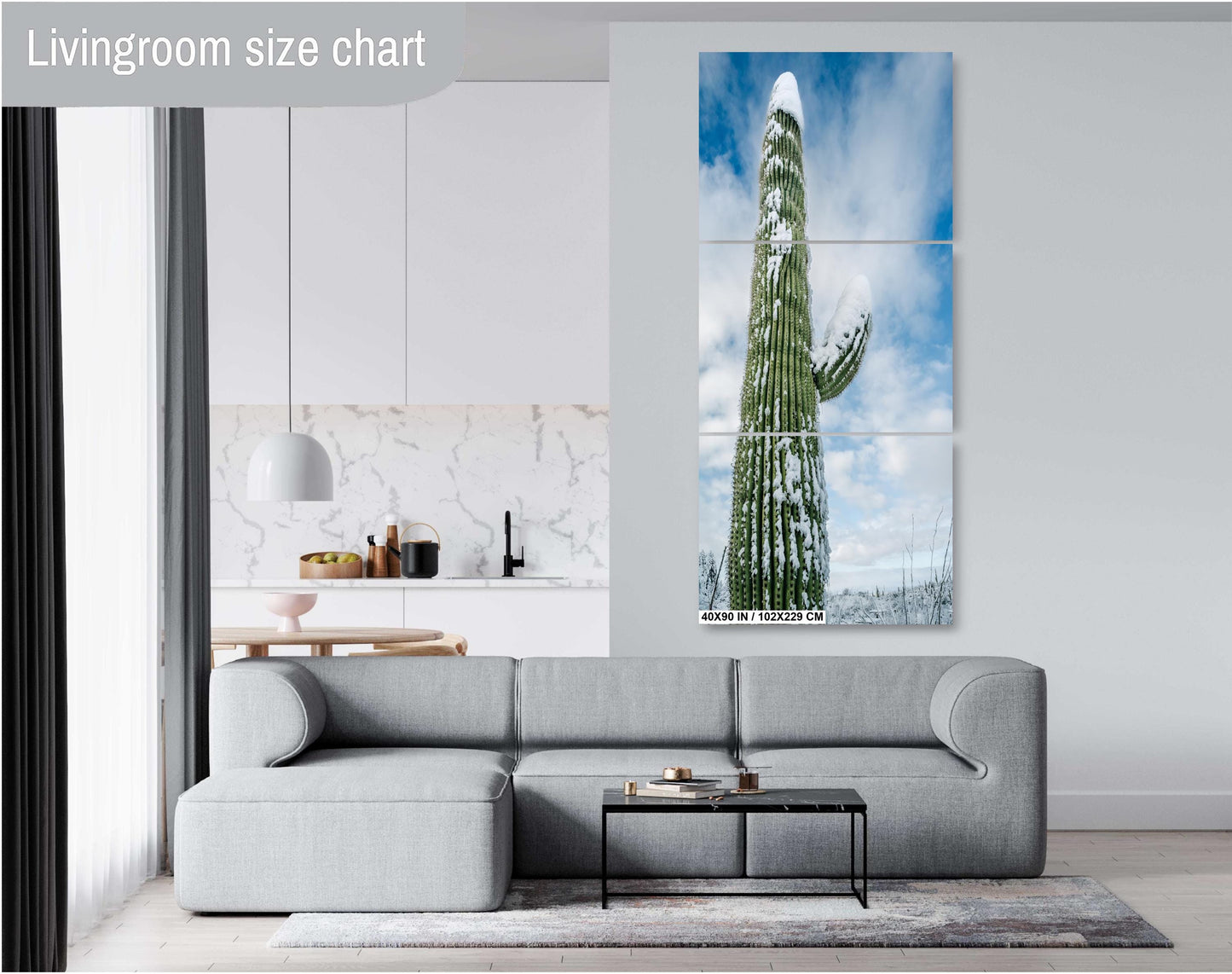 Snow-Capped Saguaros: Saguaro National Park in Tucson Arizona Winter Print Wall Art Snow Photography Aluminum/Acrylic/Metal/Canvas