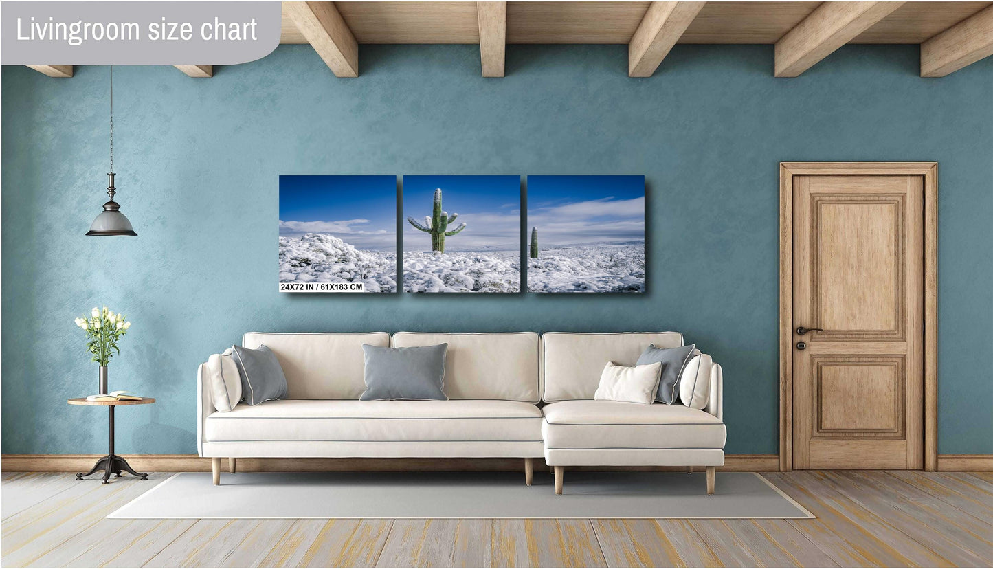 Snow-Crowned Cactus at the Saguaro National Park Tucson Arizona Print Wall Art Photography Aluminum/Acrylic/Metal/Canvas