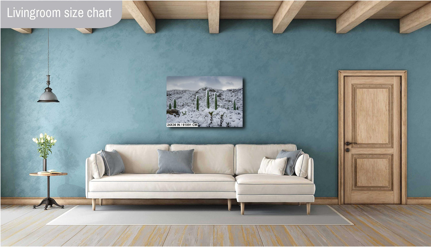 A Frosty Transformation in Saguaro National Park Print Wall Art Tucson Winter Snow Desert Photography Aluminum/Acrylic/Metal/Canvas