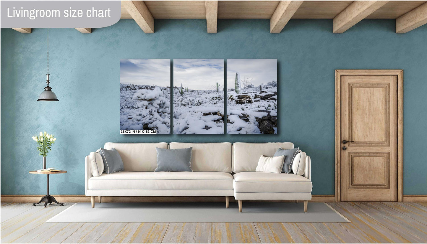 Cacti in the Cold: Snowfall at Saguaro National Park Park Print Wall Art Tucson Winter Snow Desert Photography Aluminum/Acrylic/Metal/Canvas