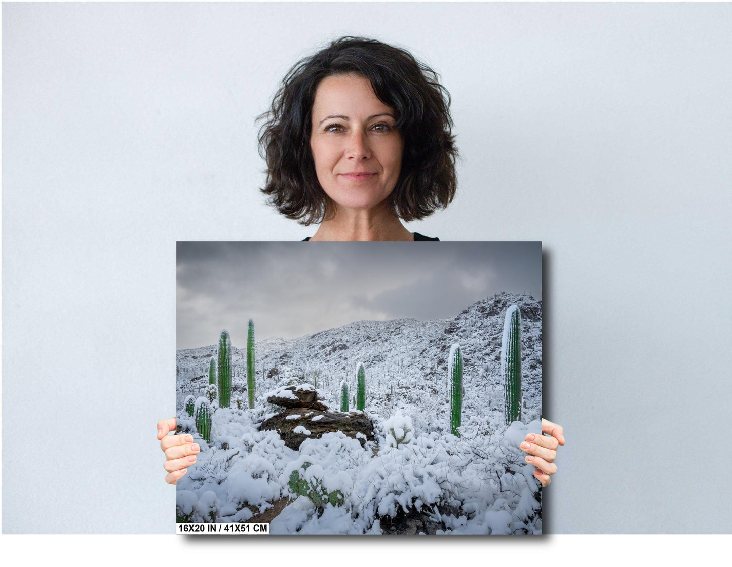 Snow-covered saguaro cacti in Arizona&#39;s desert, showcasing a rare winter scene with mountains in the background.