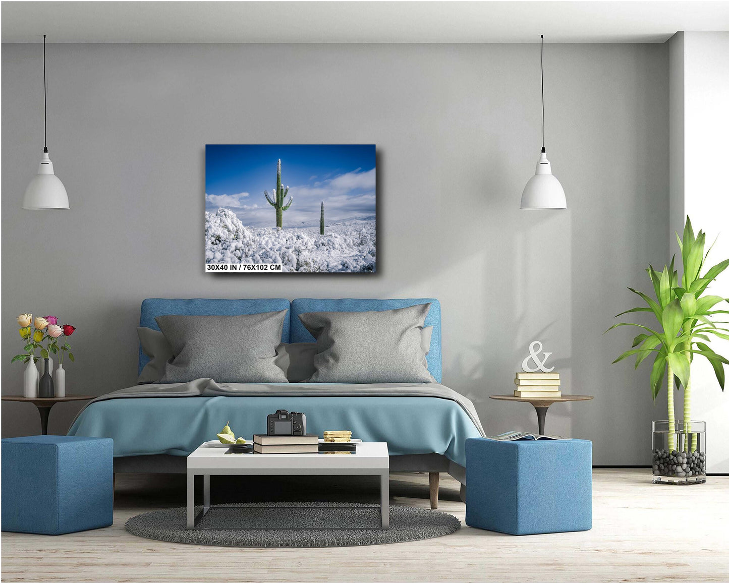 Snow-Crowned Cactus at the Saguaro National Park Tucson Arizona Print Wall Art Photography Aluminum/Acrylic/Metal/Canvas