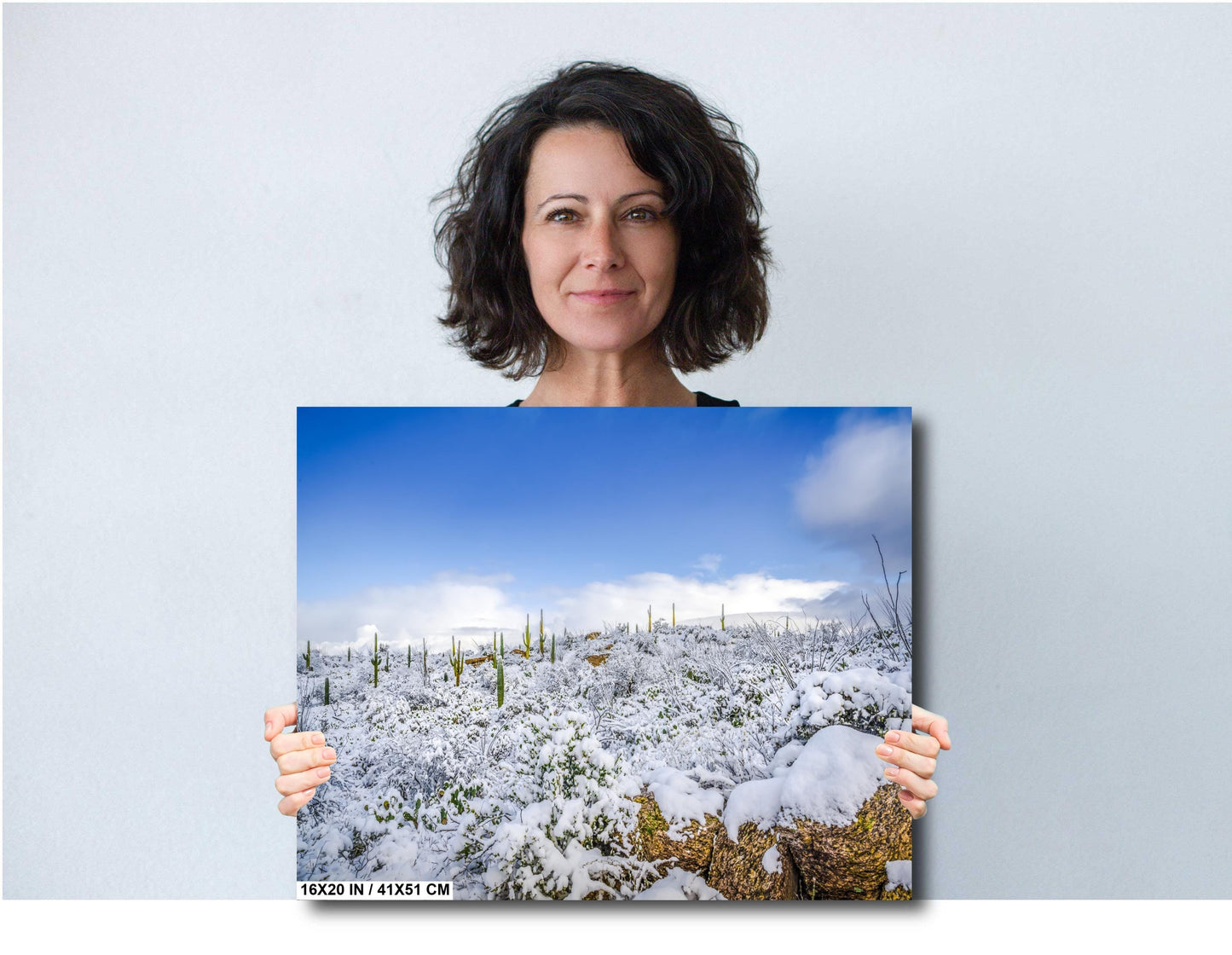 Desert Frost: Winter at Saguaro National Park Tucson Arizona Print Wall Art Winter Snow Photography Aluminum/Acrylic/Metal/Canvas Home Decor