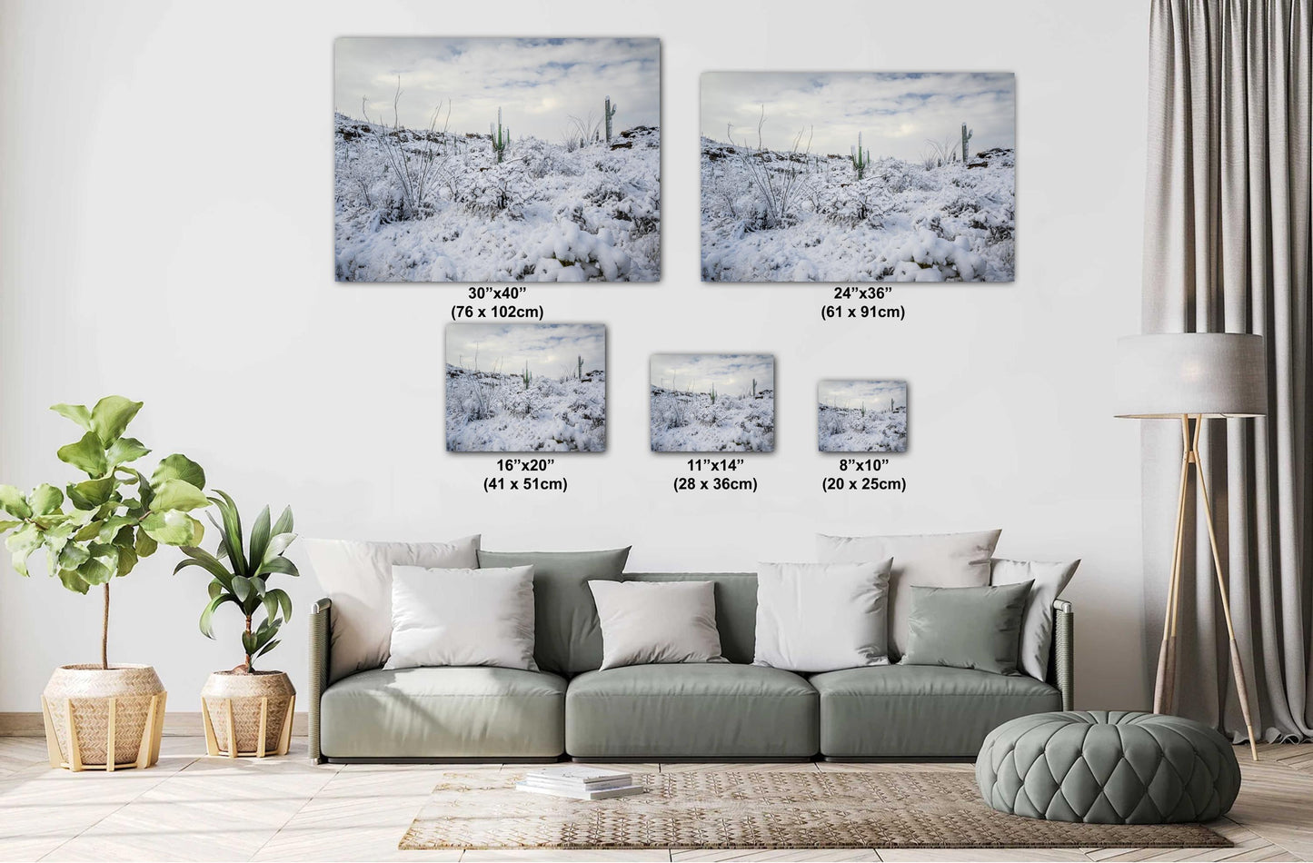 A Desert’s Frosted Moment: Saguaro National Park Print Wall Art Tucson Winter Snow Desert Photography Aluminum/Acrylic/Metal/Canvas