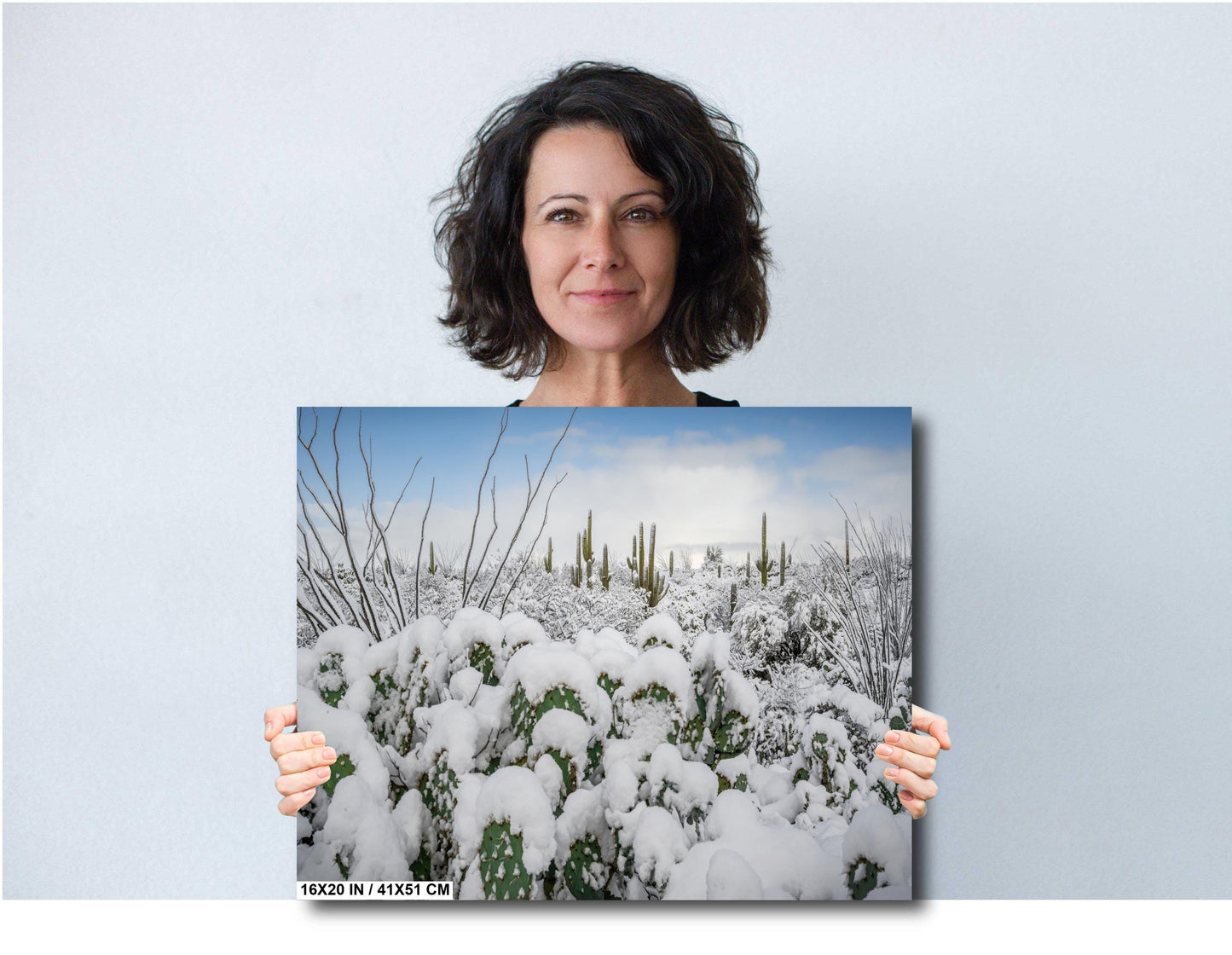 Prickly Pear Cacti in the Cold: Snowfall at Saguaro National Park Print Wall Art Tucson Winter Snow Desert Aluminum/Acrylic/Metal/Canvas