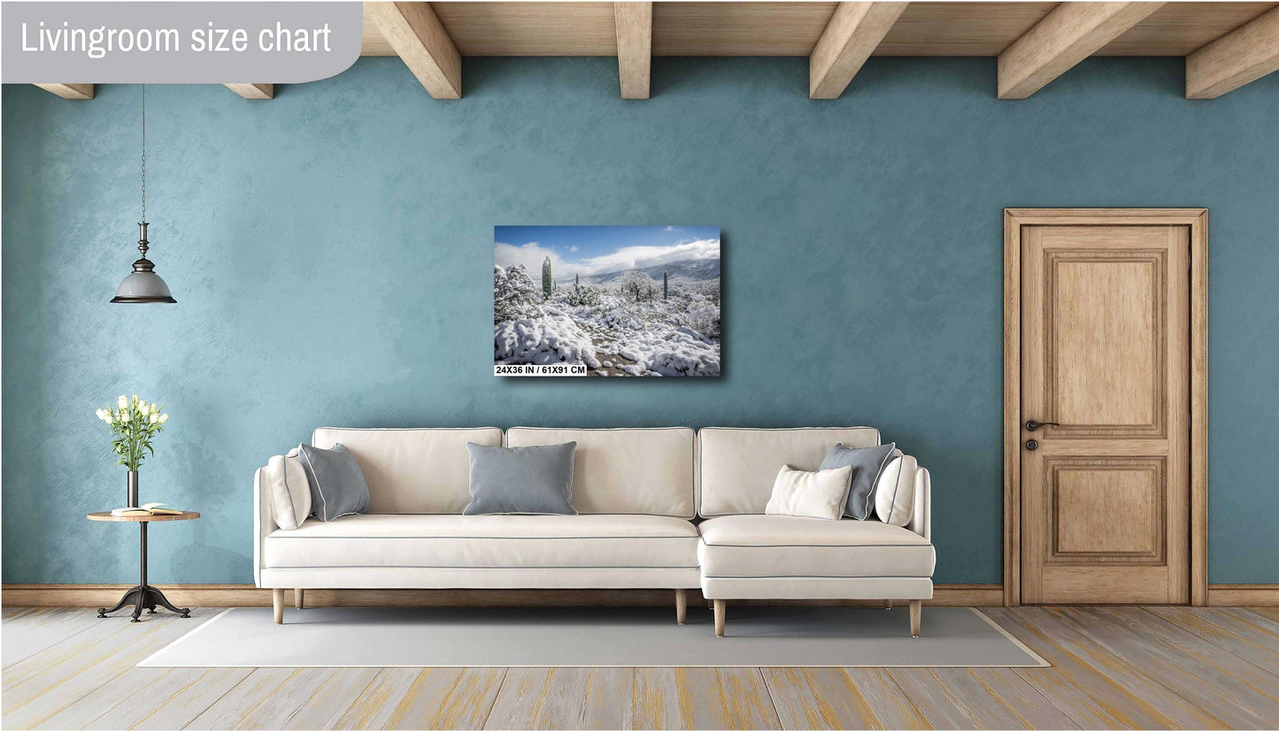 Winter Cloak Over the Saguaro National Park Print Wall Art Tucson Winter Snow Desert Photography Aluminum/Acrylic/Metal/Canvas Home Decor