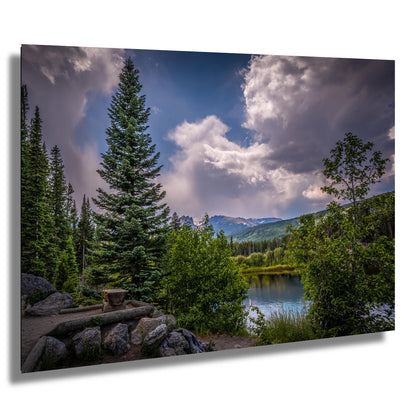 Cloud-Kissed Pines in Rocky Mountain National Park, Colorado Print Wall Art Photography Aluminum/Acrylic/Metal/Canvas Southwestern Decor