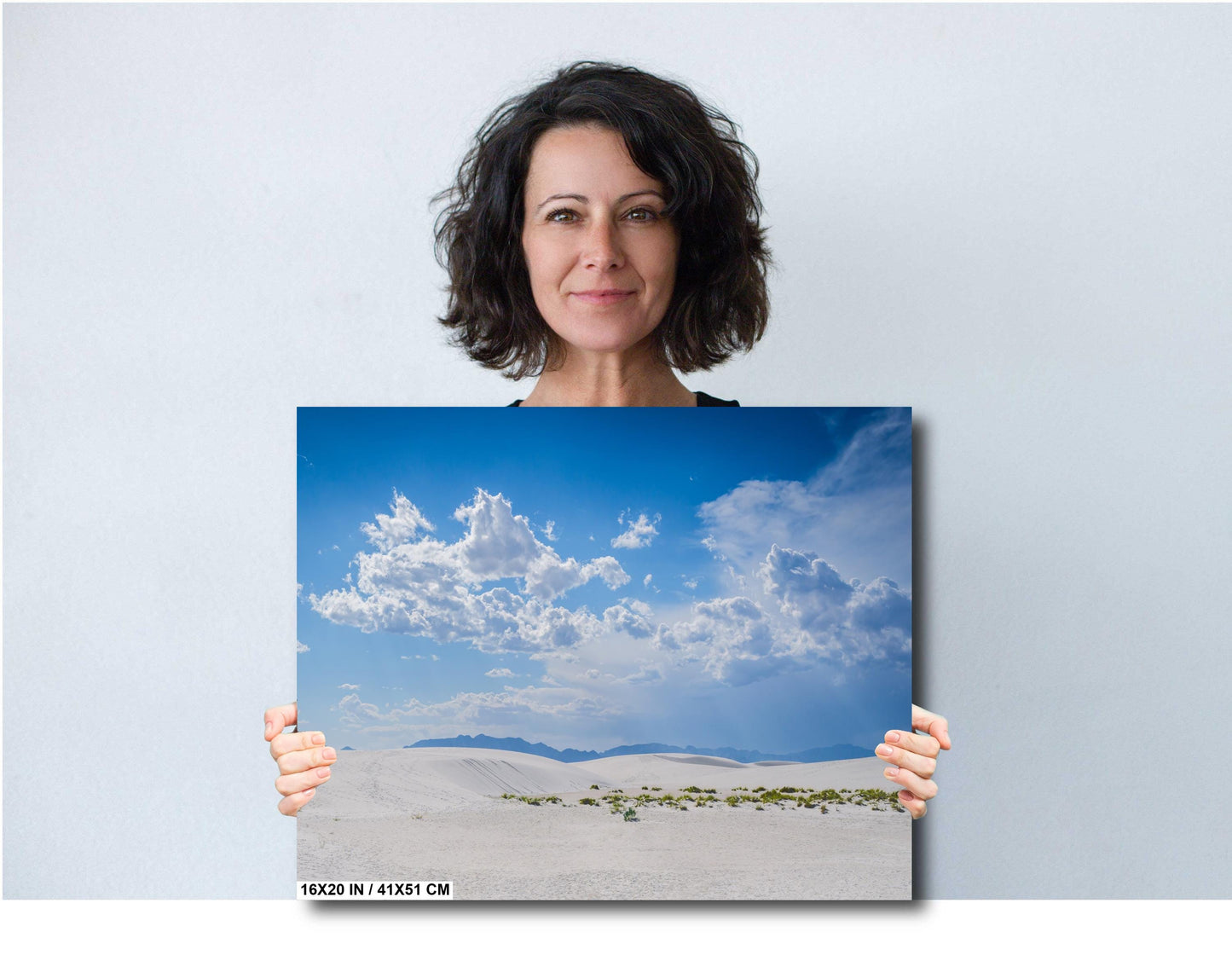 White Sands Serenity: Grass in the Shadows of White Sands National Park Wall Art Print Alamogordo, New Mexico Aluminum/Acrylic/Metal/Canvas