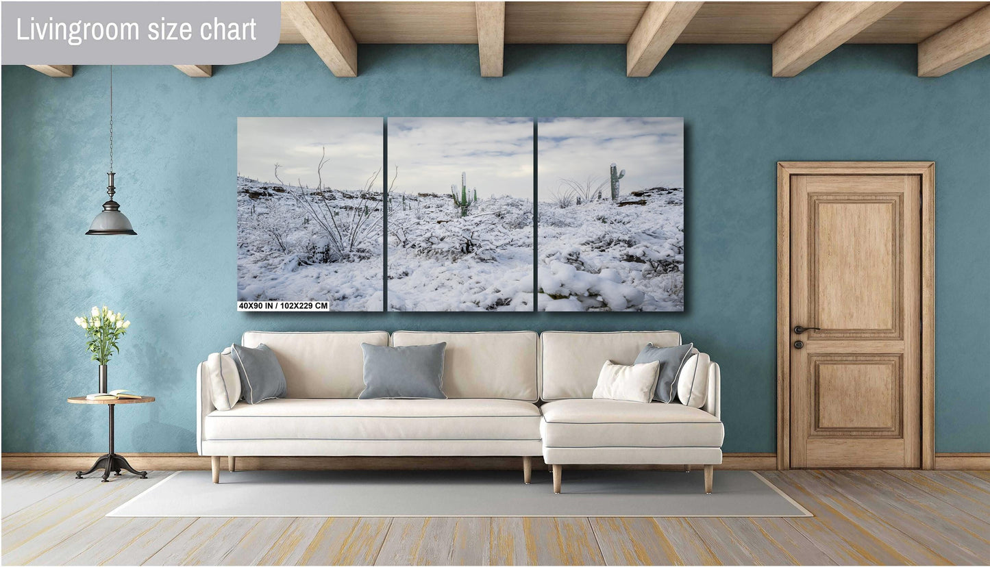 A Desert’s Frosted Moment: Saguaro National Park Print Wall Art Tucson Winter Snow Desert Photography Aluminum/Acrylic/Metal/Canvas