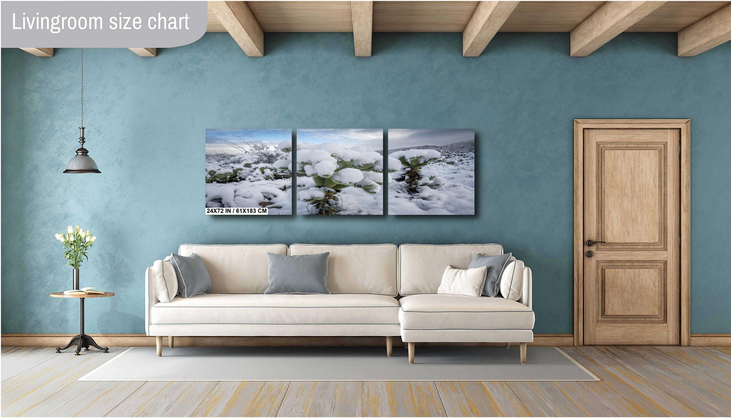 Cactus Wonderland: A Snowy Day in Arizona Saguaro National Park Tucson AZ Print Wall Art Photography Aluminum/Acrylic/Metal/Canvas