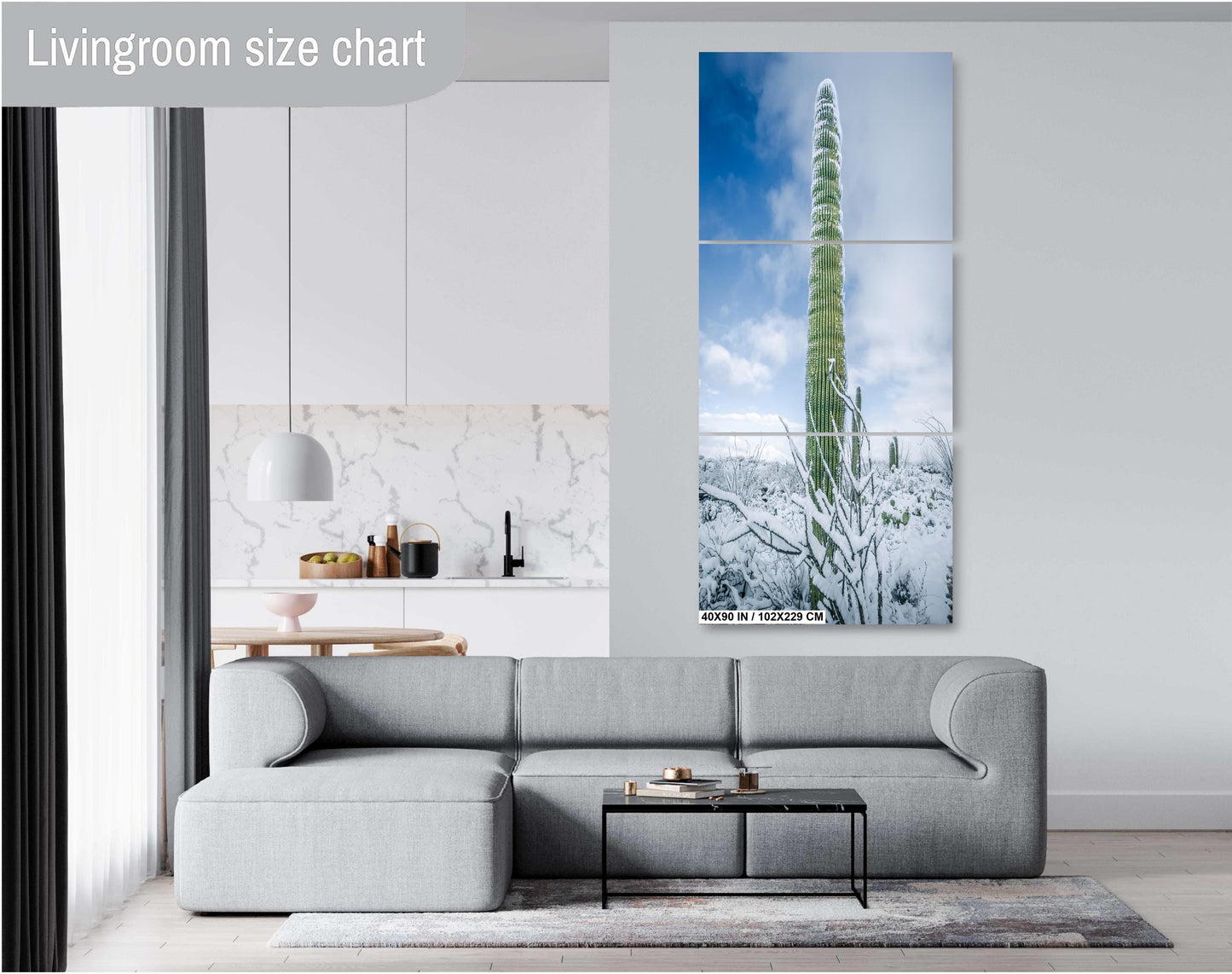 Snowy Saguaro Statue: Saguaro National Park Giant Cactus Tucson Arizona Print Wall Art Photography Aluminum/Acrylic/Metal/Canvas