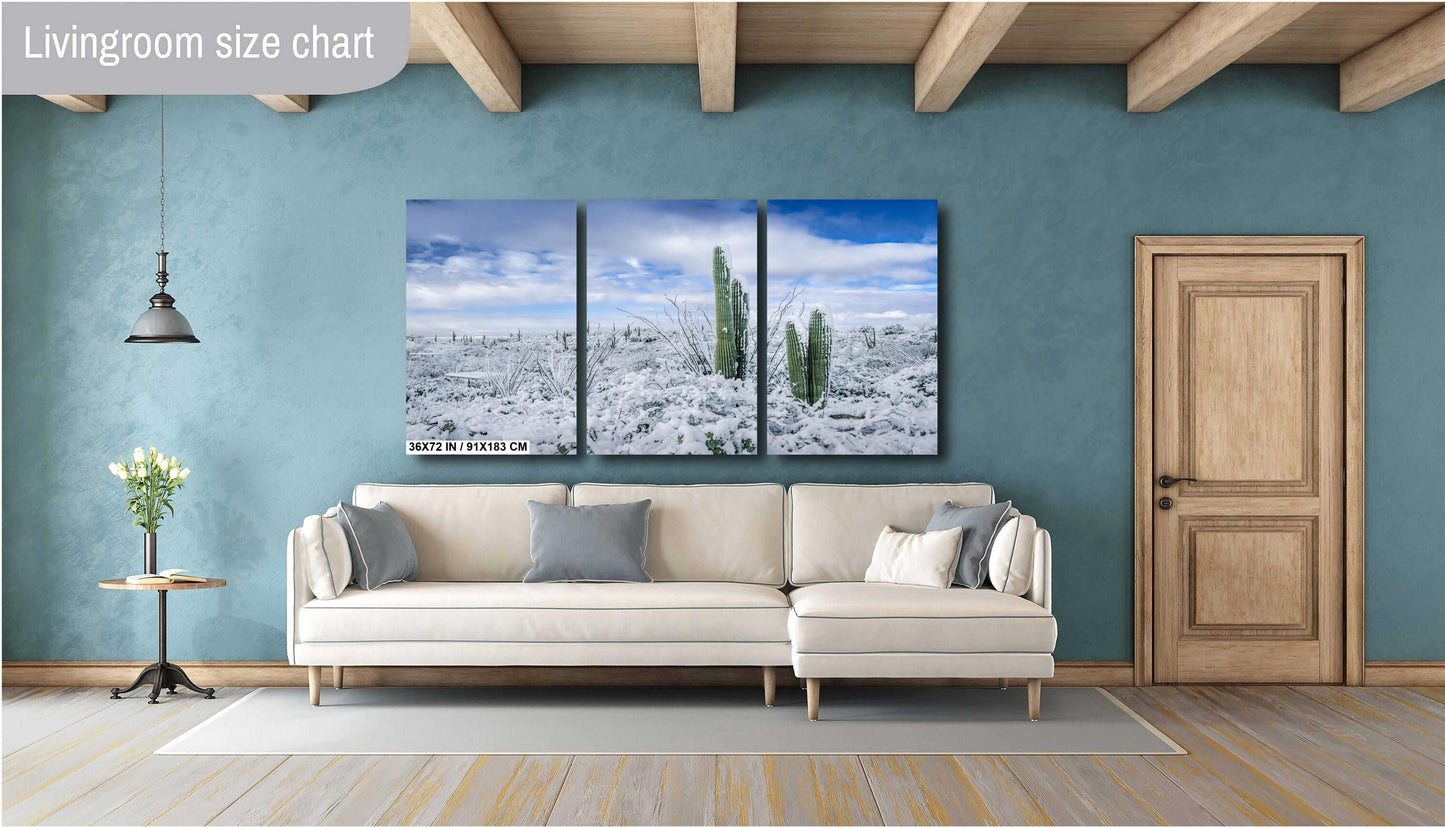 The White Desert: Snowfall in Saguaro National Park Tucson Arizona Print Wall Art Photography Aluminum/Acrylic/Metal/Canvas