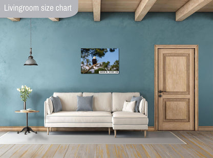 Bald Eagle Photography Print: Voyageurs National Park, Wildlife Art