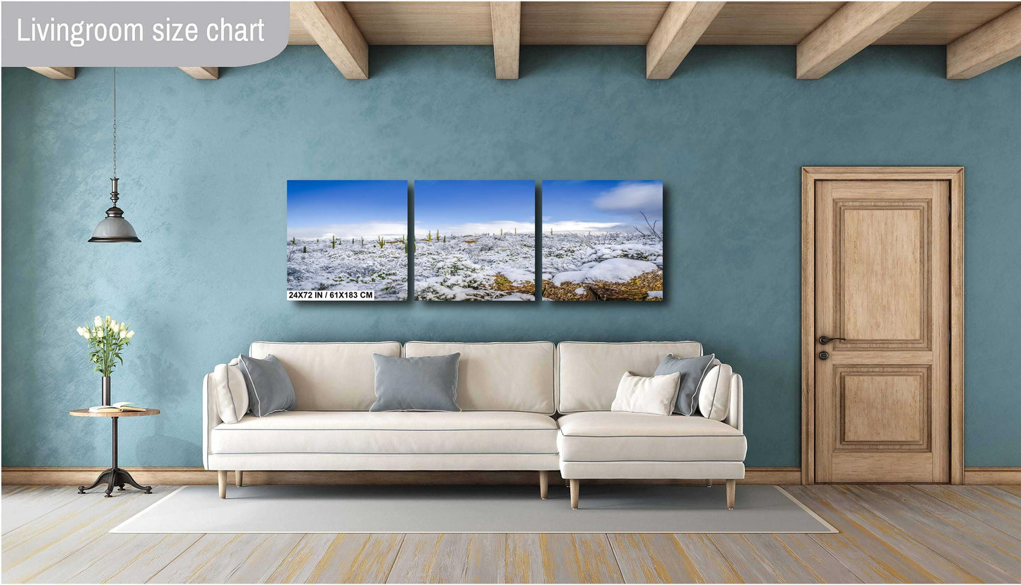 Desert Frost: Winter at Saguaro National Park Tucson Arizona Print Wall Art Winter Snow Photography Aluminum/Acrylic/Metal/Canvas Home Decor