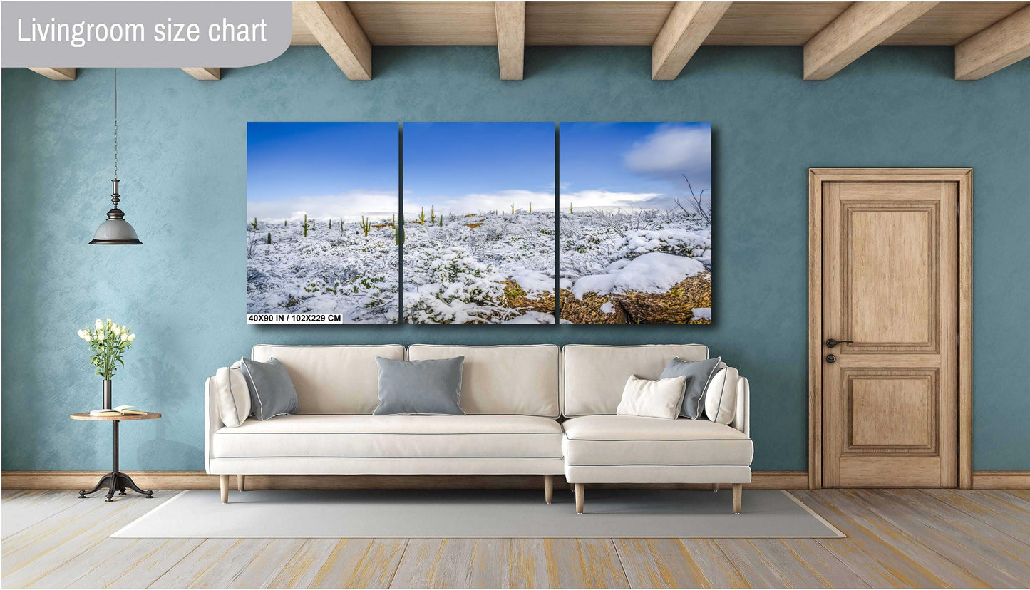 Desert Frost: Winter at Saguaro National Park Tucson Arizona Print Wall Art Winter Snow Photography Aluminum/Acrylic/Metal/Canvas Home Decor