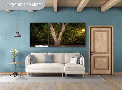 Oregon Forest Sunburst V-Trunk Tree Wall Art Photography Print, Woodland Light Rays Nature Canvas Wall Art, Pacific Northwest Metal Fine Art