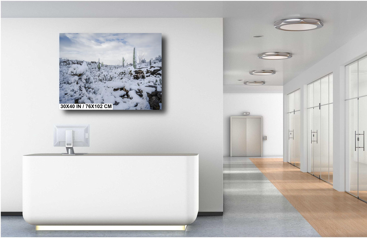 Cacti in the Cold: Snowfall at Saguaro National Park Park Print Wall Art Tucson Winter Snow Desert Photography Aluminum/Acrylic/Metal/Canvas