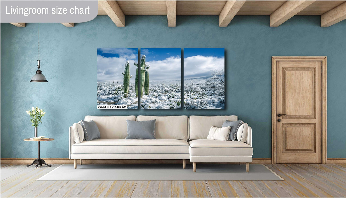 Cactus Kids Playing In The Desert Snow: Snow-Capped Saguaro National Park Tucson Arizona Print Wall Art Photography Acrylic/Metal/Canvas