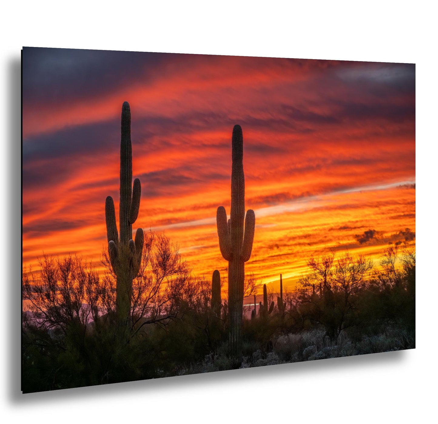 Arizona Sunset Saguaro Cactus Photography Print: Gold Canyon Landscape