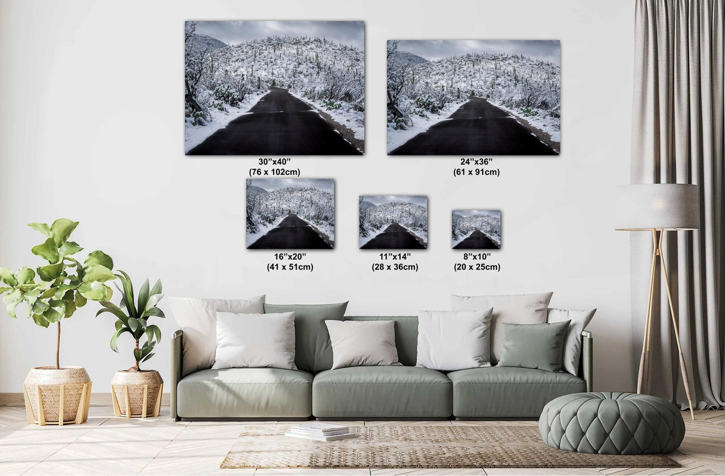 Snow-covered desert road in Saguaro National Park, Arizona, with snowy saguaro cacti lining the path.