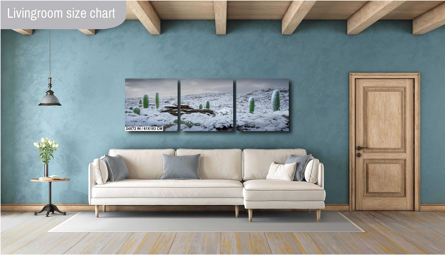 Snow-covered saguaro cacti in Arizona&#39;s desert, showcasing a rare winter scene with mountains in the background.