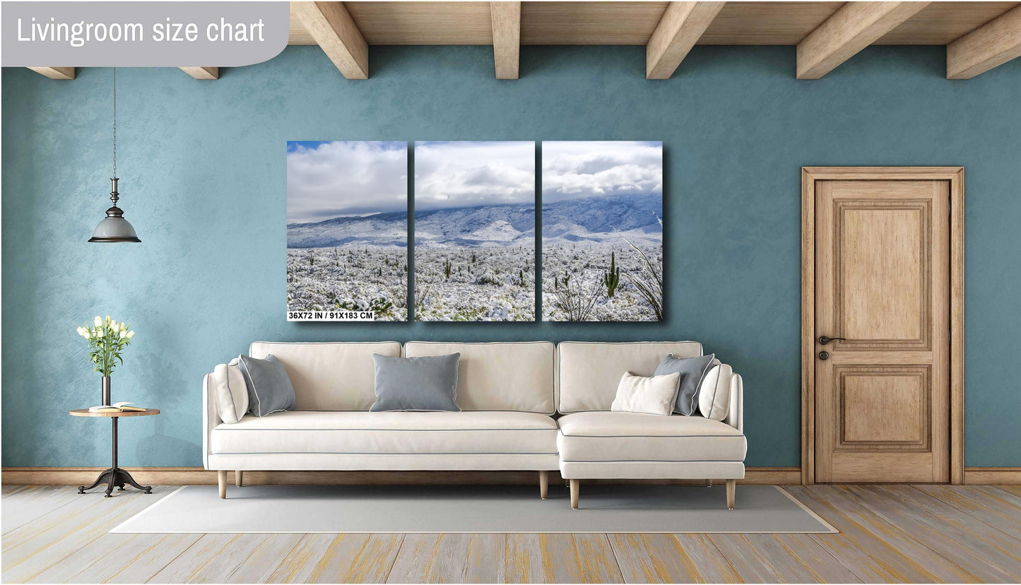 Winter’s Touch on the Desert Landscape: Saguaro National Park Print Wall Art Tucson Winter Snow Photography Aluminum/Acrylic/Metal/Canvas