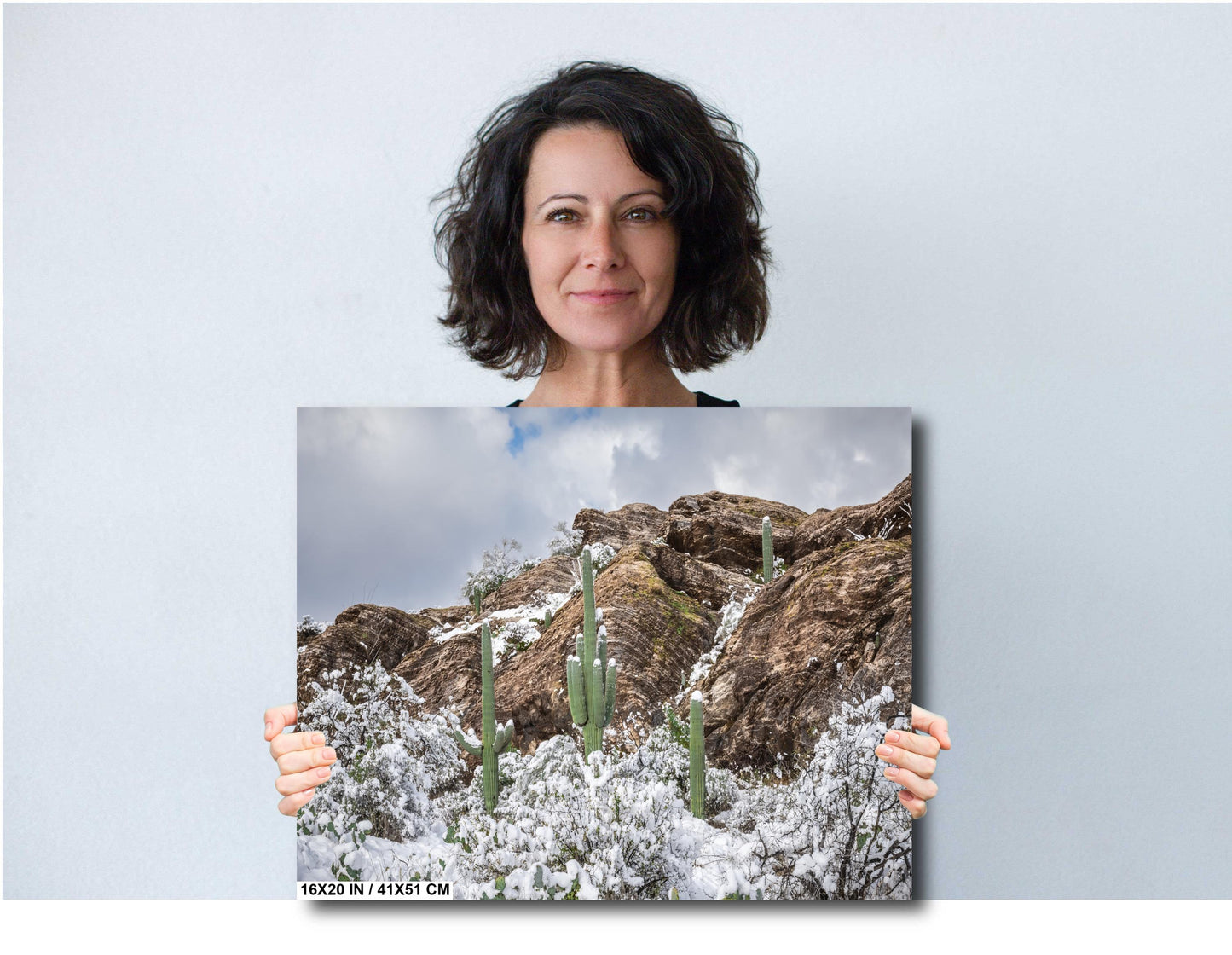 Winter’s Trio: Saguaros in Snow National Park Winter in Tucson Arizona Print Wall Art Photography Aluminum/Acrylic/Metal/Canvas