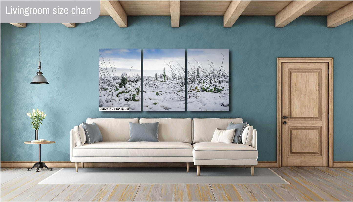 Snow-Tipped Peaks and Cactus Heights: Snow in Saguaro National Park Tucson Arizona Print Wall Art Photography Aluminum/Acrylic/Metal/Canvas