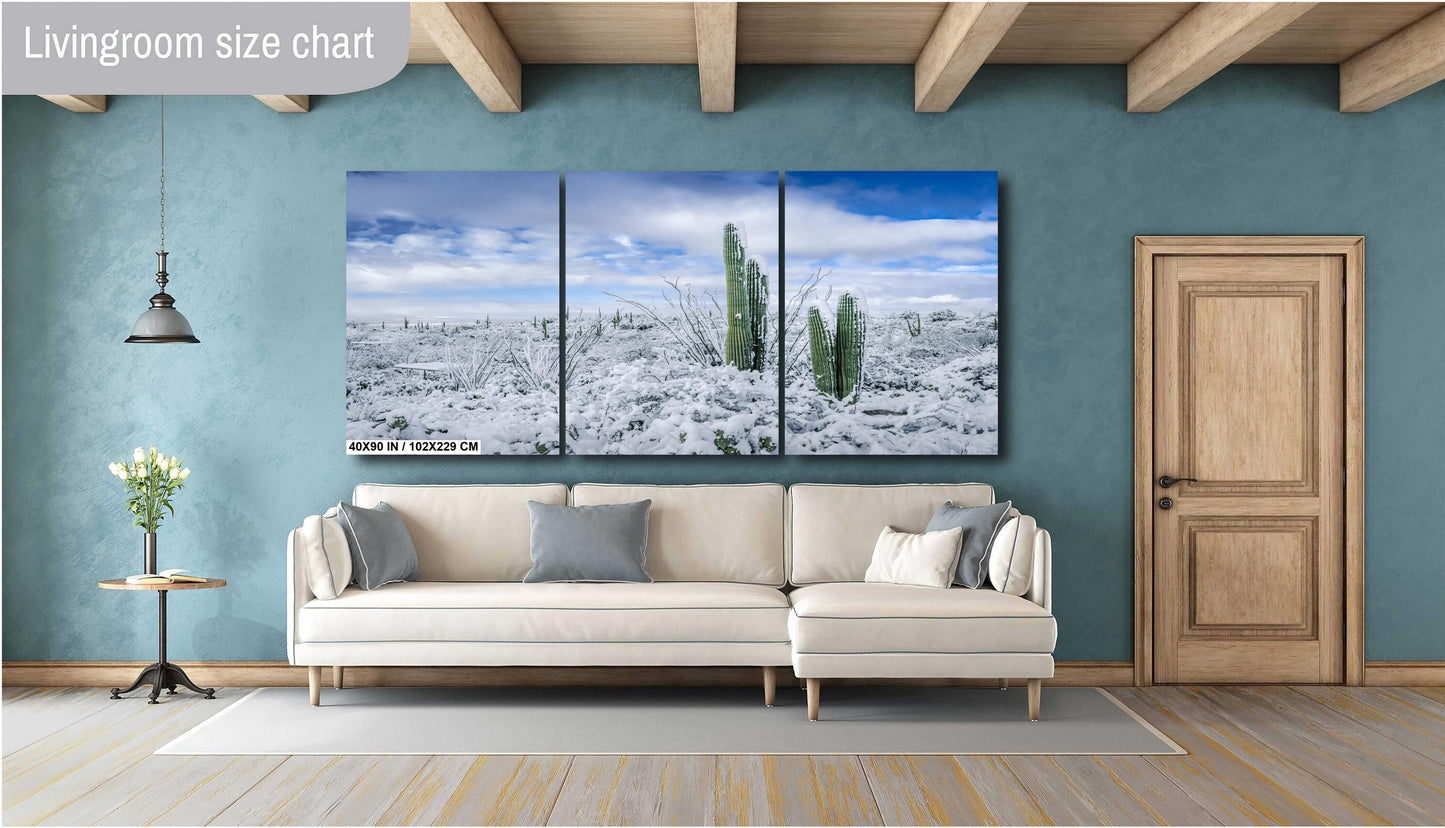 The White Desert: Snowfall in Saguaro National Park Tucson Arizona Print Wall Art Photography Aluminum/Acrylic/Metal/Canvas