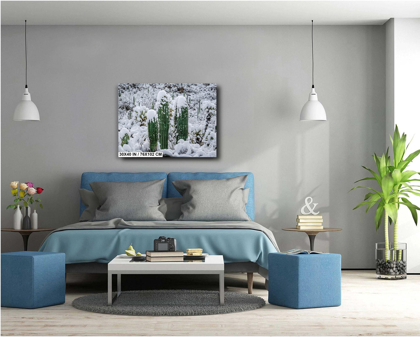 Proud Cactus Soldiers In The Snow : Snow-Capped Saguaros in Tucson Arizona Print Wall Art Photography Aluminum/Acrylic/Metal/Canvas