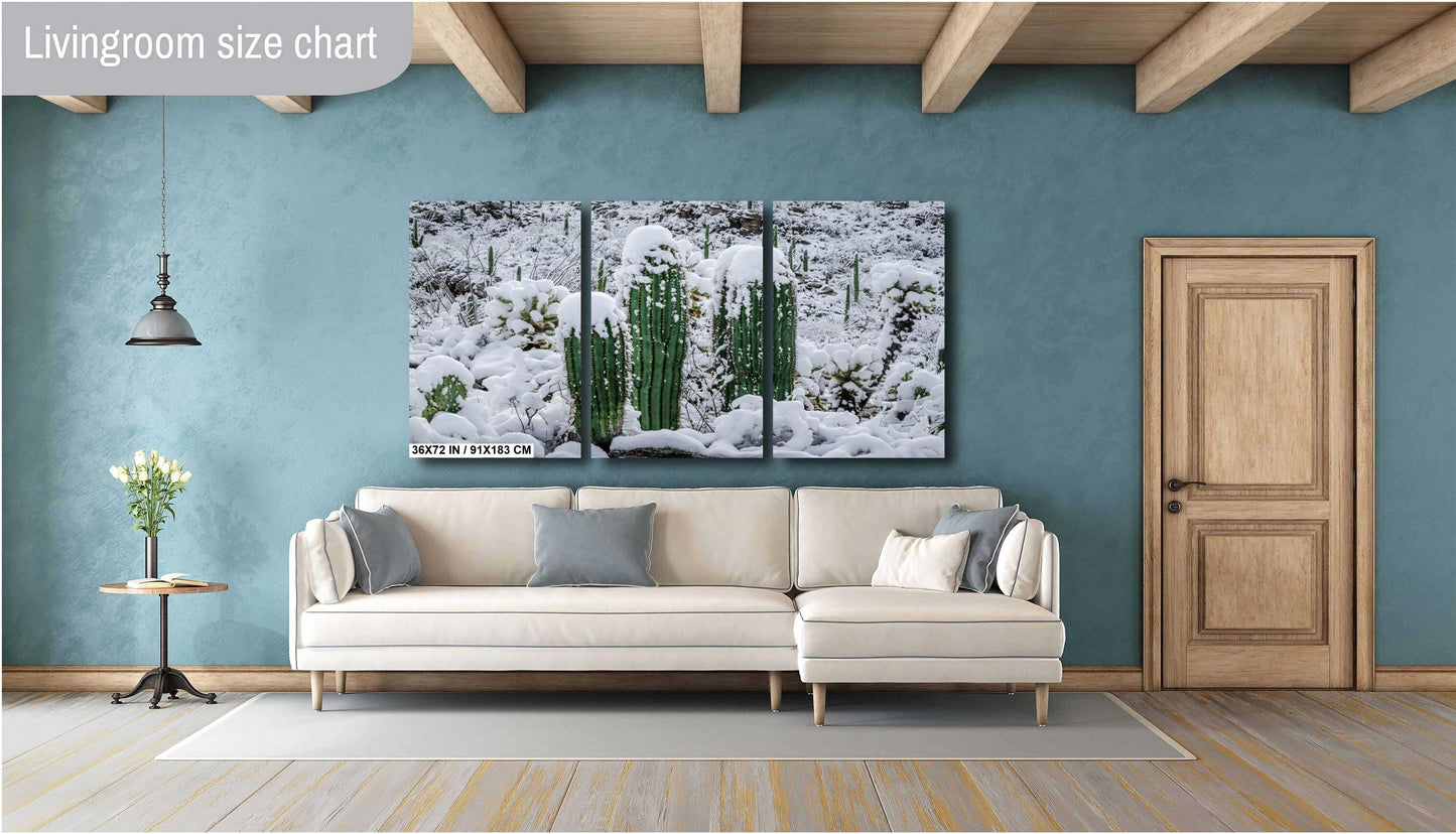 Proud Cactus Soldiers In The Snow : Snow-Capped Saguaros in Tucson Arizona Print Wall Art Photography Aluminum/Acrylic/Metal/Canvas