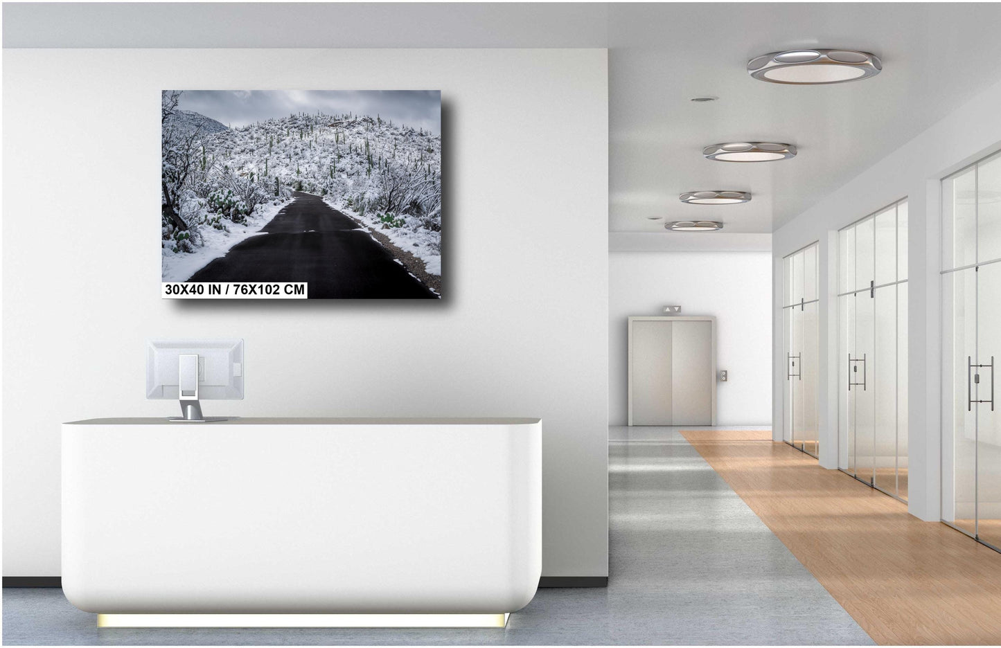 Snow-covered desert road in Saguaro National Park, Arizona, with snowy saguaro cacti lining the path.