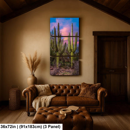 Towering Saguaros at Sunset, Catalina State Park Arizona Photography Print, Desert Landscape Wall Art