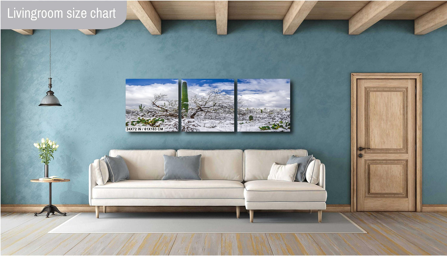 Saguaro Standing Tall in Winter’s Embrace: Saguaro National Park Print Wall Art Tucson Snow Desert Photography Aluminum/Acrylic/Metal/Canvas