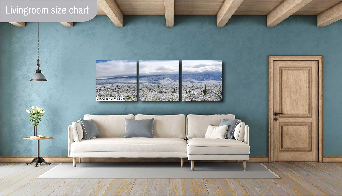 Winter’s Touch on the Desert Landscape: Saguaro National Park Print Wall Art Tucson Winter Snow Photography Aluminum/Acrylic/Metal/Canvas