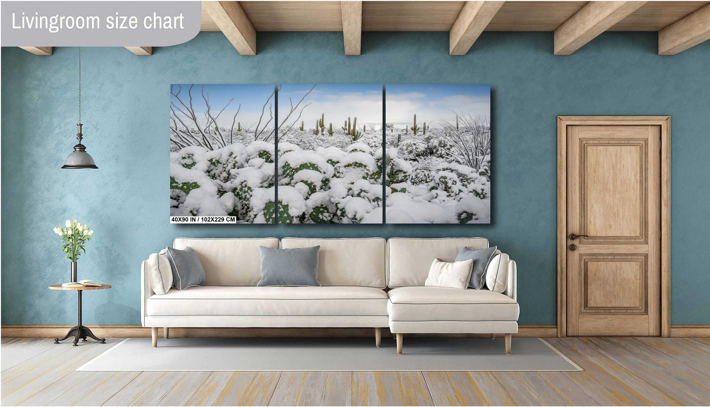 Prickly Pear Cacti in the Cold: Snowfall at Saguaro National Park Print Wall Art Tucson Winter Snow Desert Aluminum/Acrylic/Metal/Canvas