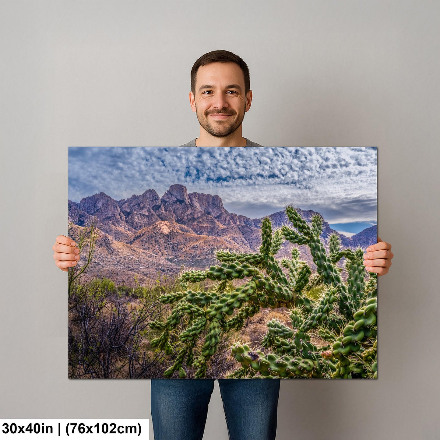 Cholla Cactus in Catalina State Park, Arizona, Photography Print, Sonoran Desert Mountain Landscape Wall Art