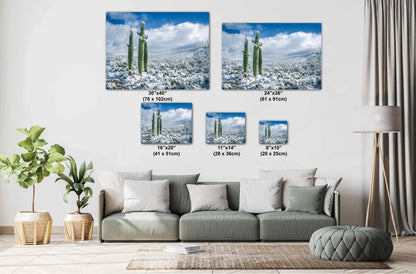 Cactus Kids Playing In The Desert Snow: Snow-Capped Saguaro National Park Tucson Arizona Print Wall Art Photography Acrylic/Metal/Canvas