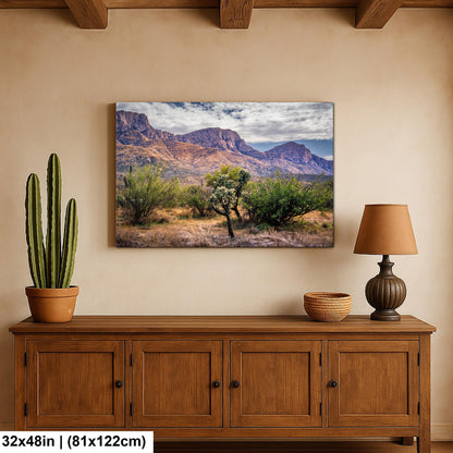 Arizona Desert Wall Art - Catalina Mountains Print | Sonoran Desert Landscape Photography