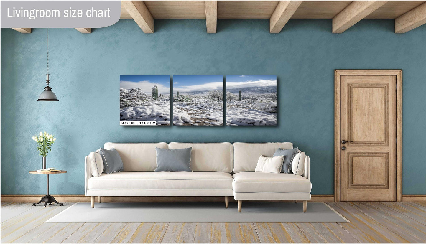 Winter Cloak Over the Saguaro National Park Print Wall Art Tucson Winter Snow Desert Photography Aluminum/Acrylic/Metal/Canvas Home Decor