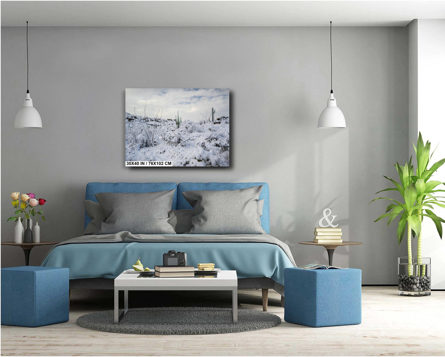 A Desert’s Frosted Moment: Saguaro National Park Print Wall Art Tucson Winter Snow Desert Photography Aluminum/Acrylic/Metal/Canvas