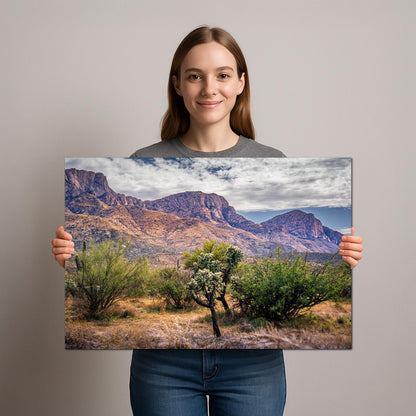 Arizona Desert Wall Art - Catalina Mountains Print | Sonoran Desert Landscape Photography